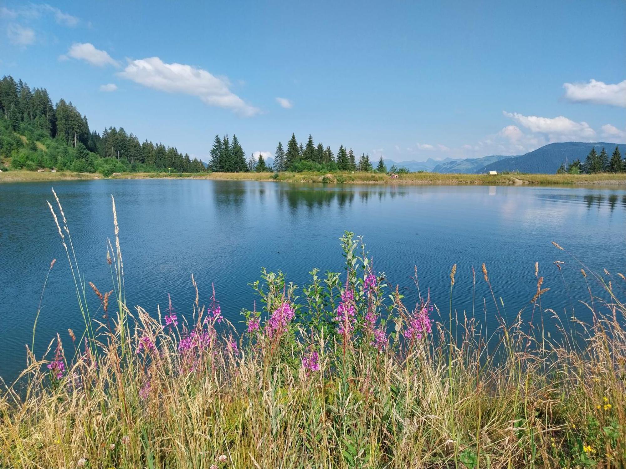Landhaus Tirol 호프가르텐 임 브릭젠탈 외부 사진